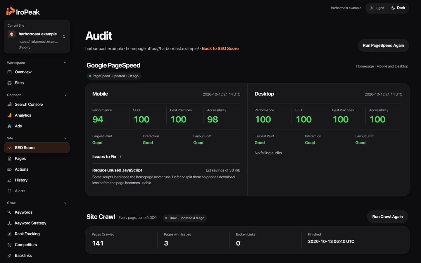 The Site Audit page: issues from a crawl of every page, sorted by priority.