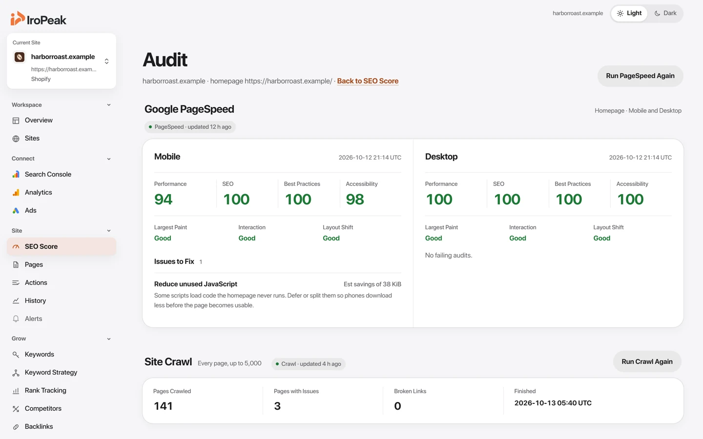 The Site Audit page: issues from a crawl of every page, sorted by priority.