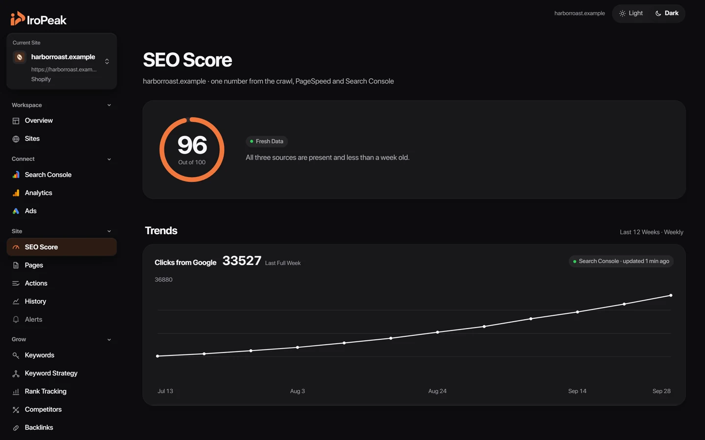 The SEO Score page of an example site: one score from 1 to 100 built from the crawl, PageSpeed and Search Console.
