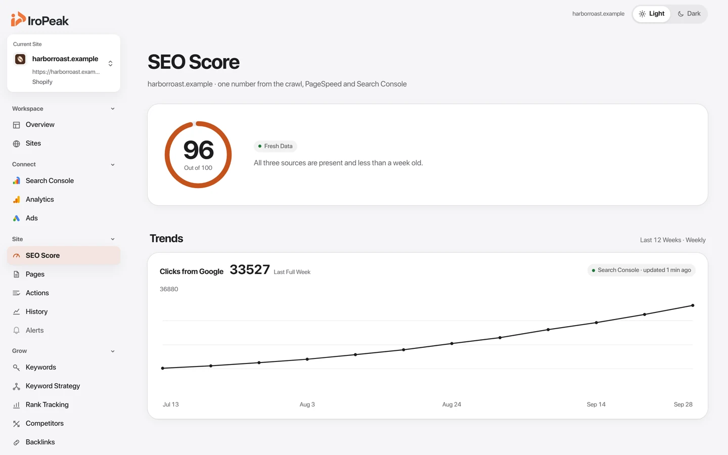 The SEO Score page of an example site: one score from 1 to 100 built from the crawl, PageSpeed and Search Console.